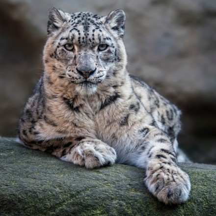 Partez à l'aventure