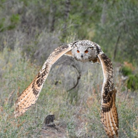 Partez à l'aventure